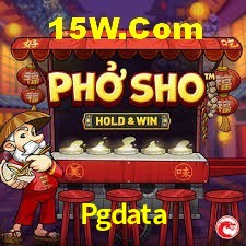 Security Systems Pgdata